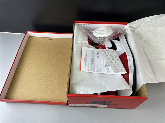 Jordan1 Retro Satin Snake Chicago CD0461-601