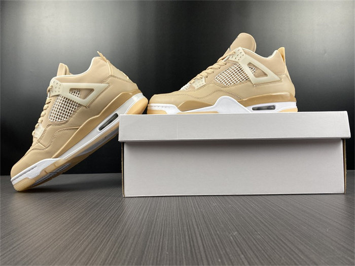 Jordan 4 Retro Shimmer DJ0675-200