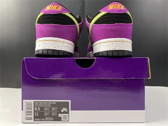 Nike SB Dunk Low Pro ACG Terra Red Plum BQ6817-501
