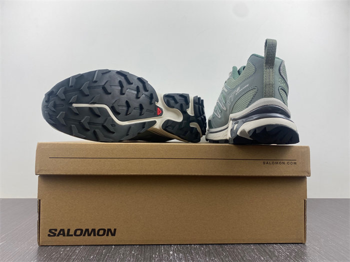 Salomon XT-6 47134