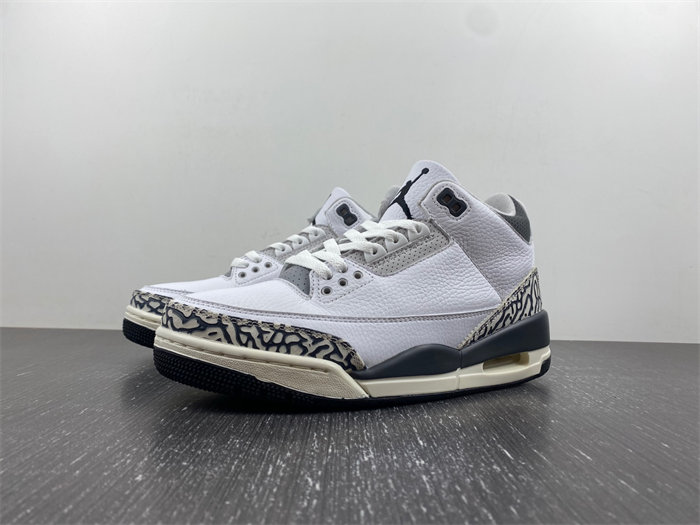 Jordan 3 Retro Hide N'' Sneak DX6665-100