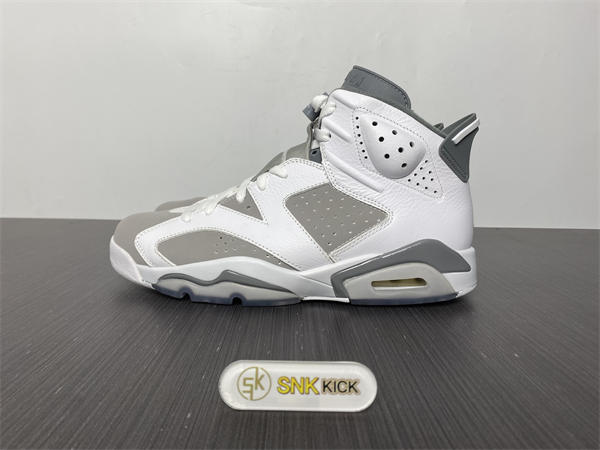 Jordan 6  Cool Grey CT8529-100
