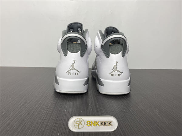 Jordan 6 Cool Grey CT8529-100