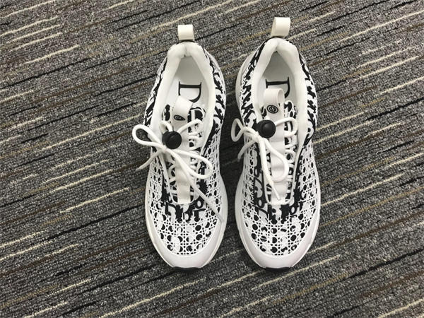Dior Sneaker 003