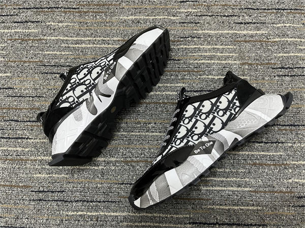 Dior Sneaker 006