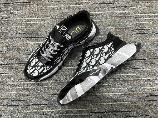 Dior Sneaker 006