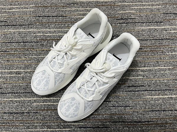 Dior Sneaker 009