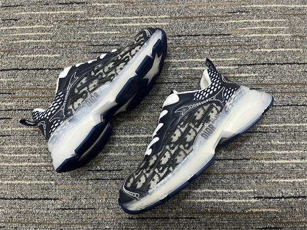 Dior Sneaker 011