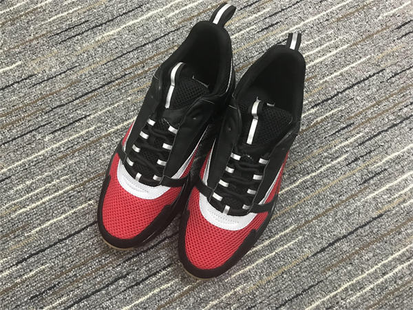 Dior B22