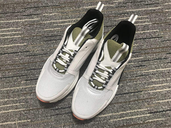 Dior B22