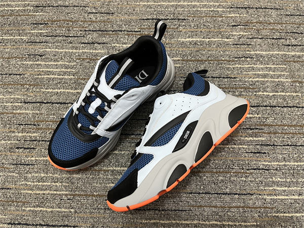 Dior B22