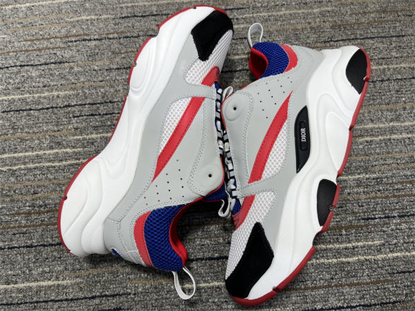 Dior B22