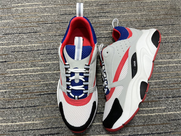 Dior B22