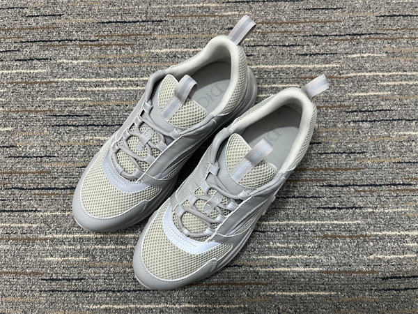 Dior B22