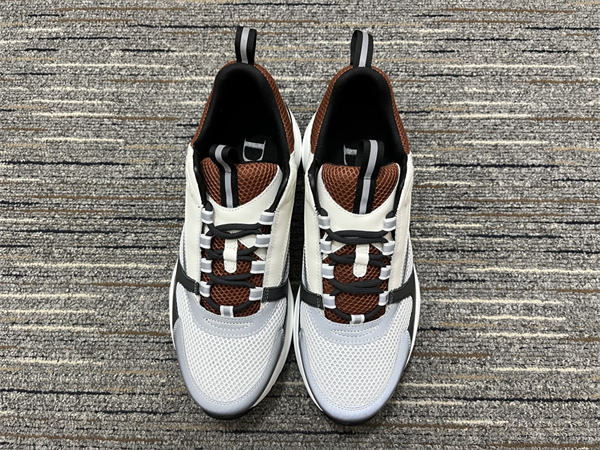Dior B22