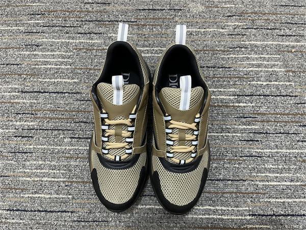 Dior B22