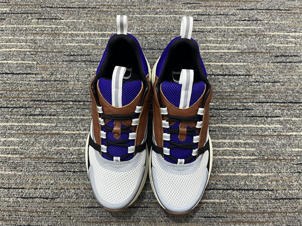 Dior B22