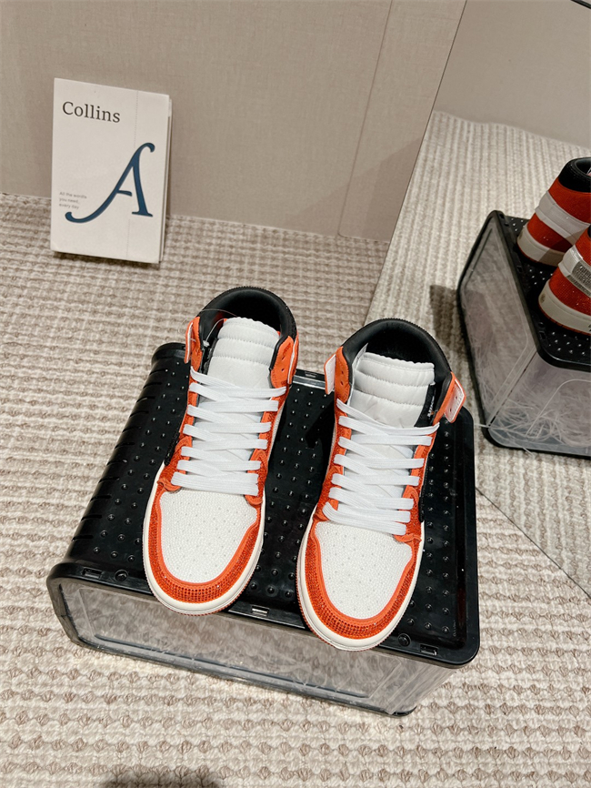 Dior x Nike Air Jordan 1