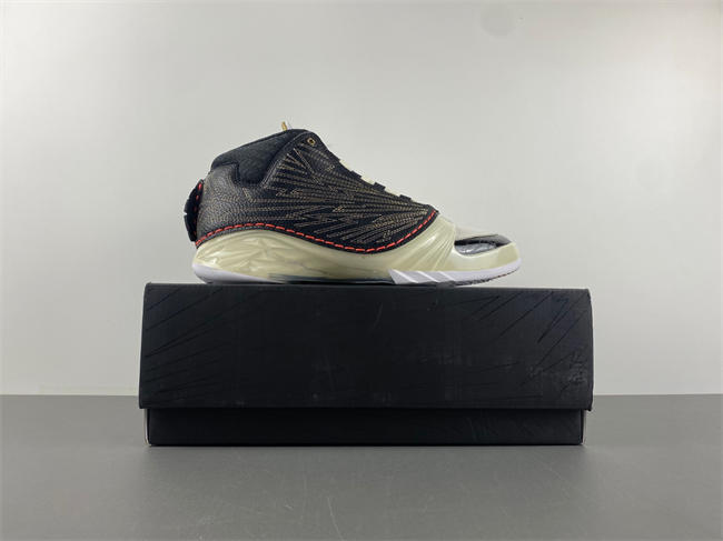 Titan x Air Jordan 23 CZ6222-001