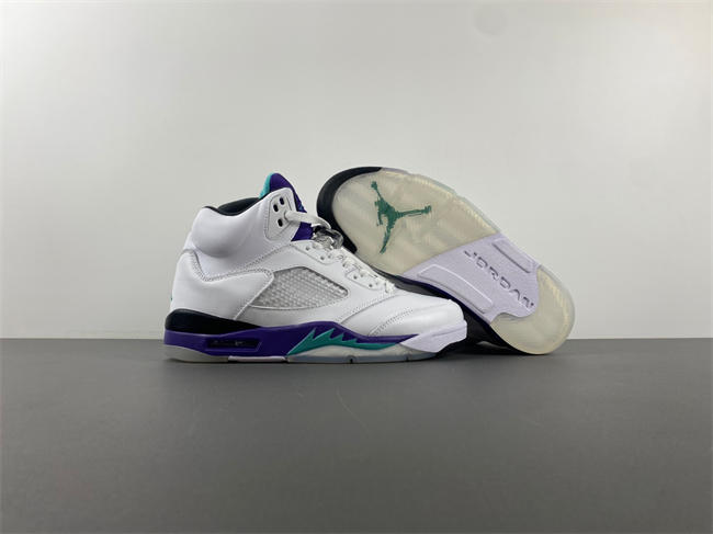 Air Jordan 5 Retro Grape 136027-108