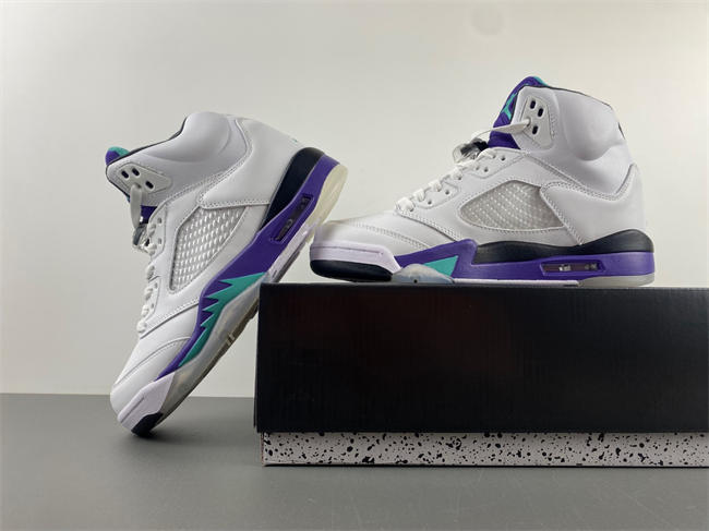 Air Jordan 5 Retro Grape 136027-108