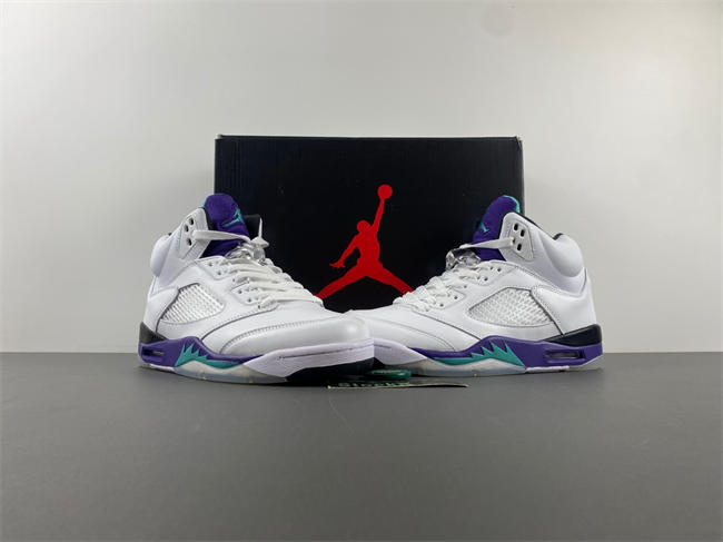 Air Jordan 5 Retro Grape 136027-108
