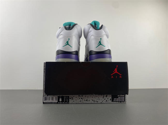 Air Jordan 5 Retro Grape 136027-108