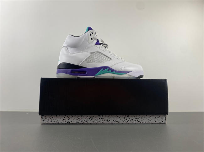 Air Jordan 5 Retro Grape 136027-108