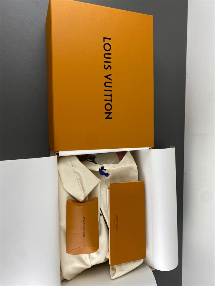Louis Vuitton LV trainer