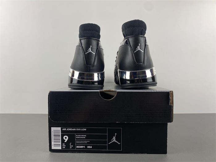 Air Jordan 17 OG  303891-004