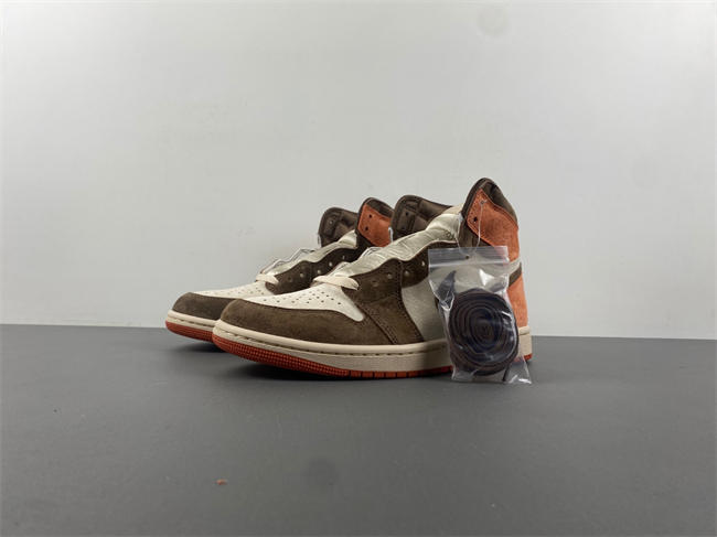 Jordan 1 Retro High OG SP Dusted Clay FQ2941-200