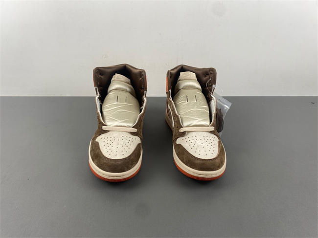 Jordan 1 Retro High OG SP Dusted Clay FQ2941-200