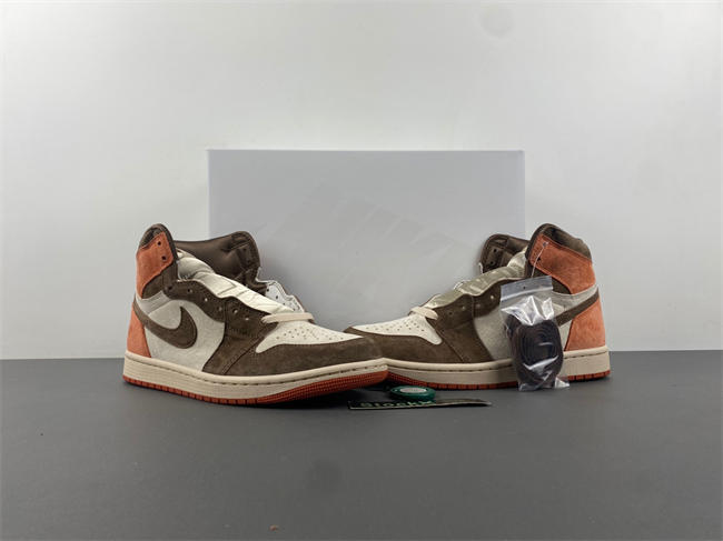 Jordan 1 Retro High OG SP Dusted Clay FQ2941-200