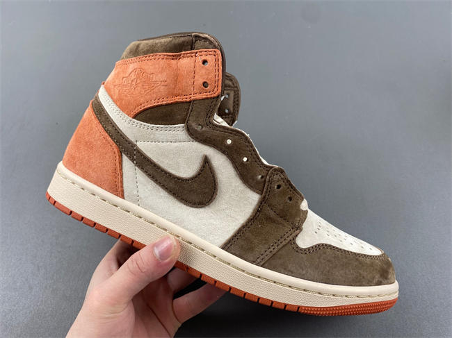 Jordan 1 Retro High OG SP Dusted Clay FQ2941-200