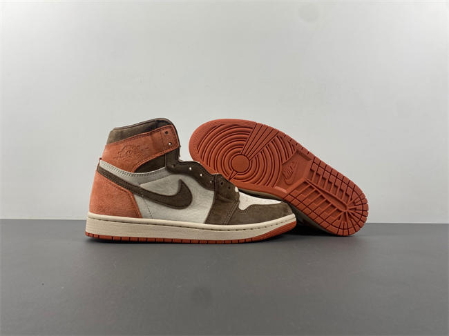 Jordan 1 Retro High OG SP Dusted Clay FQ2941-200