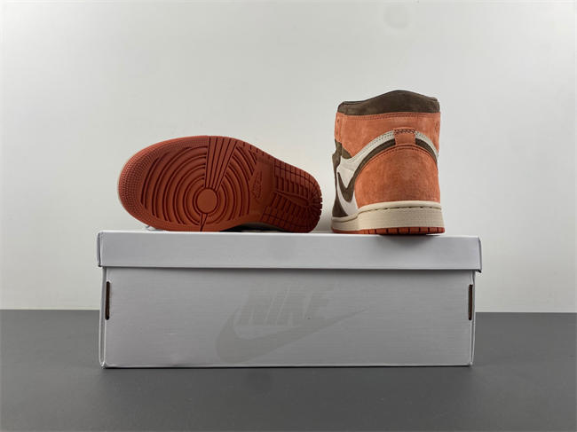 Jordan 1 Retro High OG SP Dusted Clay FQ2941-200