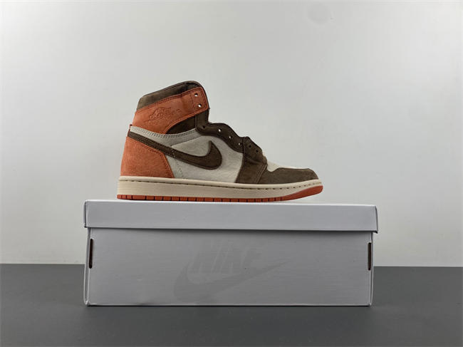 Jordan 1 Retro High OG SP Dusted Clay FQ2941-200