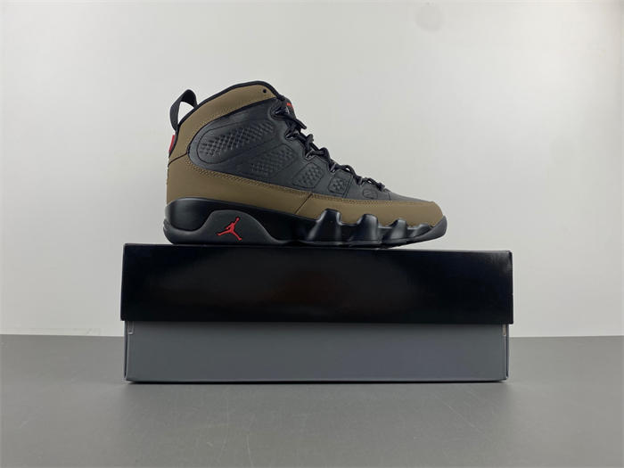 Air Jordan 9 “Olive”  HV4794-030