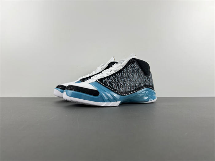 Air Jordan 23 ''UNC 318376-041