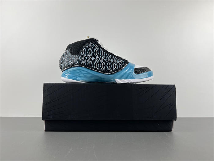 Air Jordan 23 