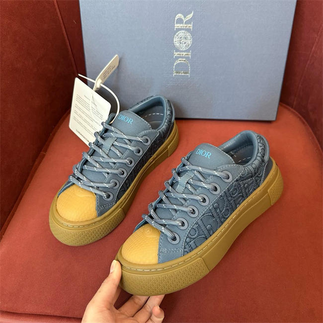DIOR B33 DR15