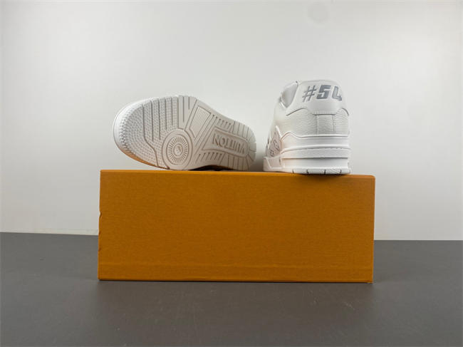 Louis Vuitton LV trainer 1823-110