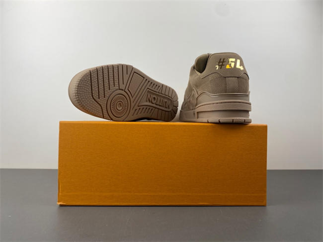 Louis Vuitton LV trainer