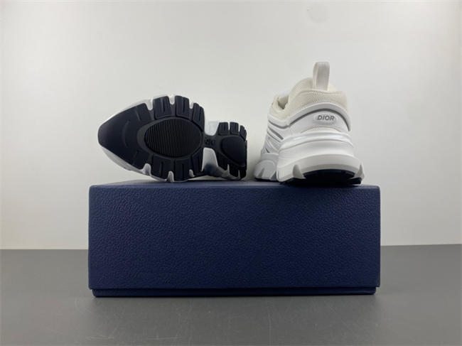 DIOR  B44 Blade  3SN306ZEG49041