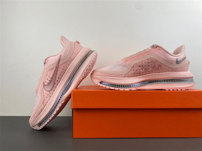 Nike Pegasus Premium