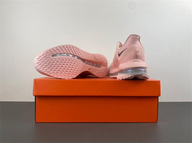 Nike Pegasus Premium