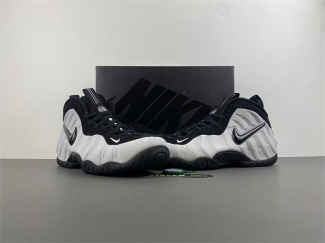 Nike Air Foamposite Pro “Wolf Grey”  HF0794-001