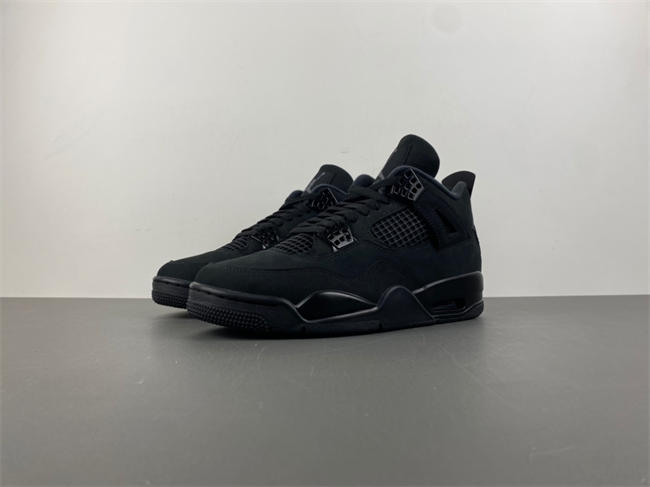 Air Jordan 4 “Black Cat”  FV5029-010
