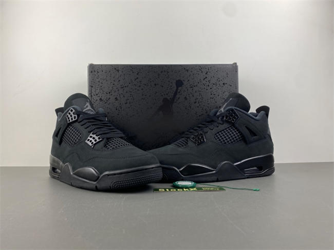 Air Jordan 4 “Black Cat”  FV5029-010