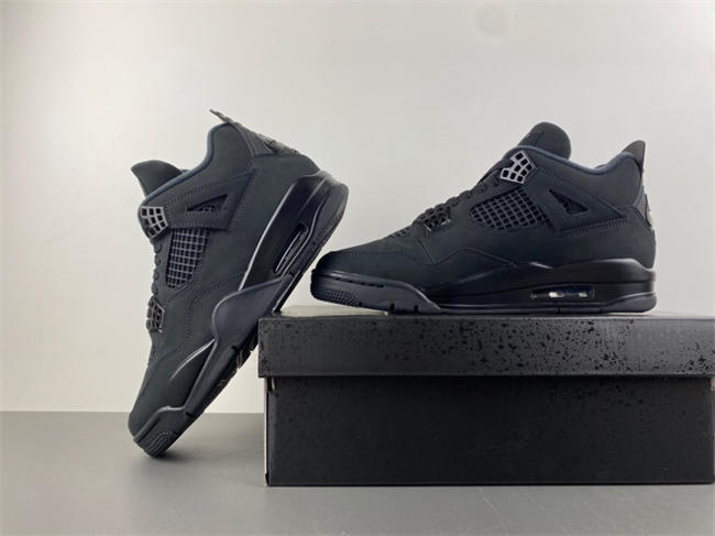 Air Jordan 4 “Black Cat”  FV5029-010